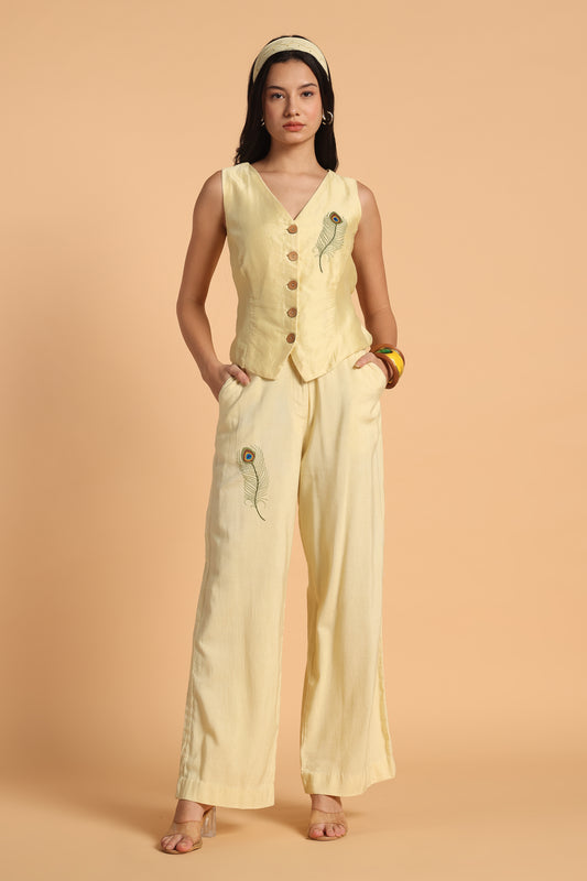 MOR PANKH EMBROIDERED CO ORD SET